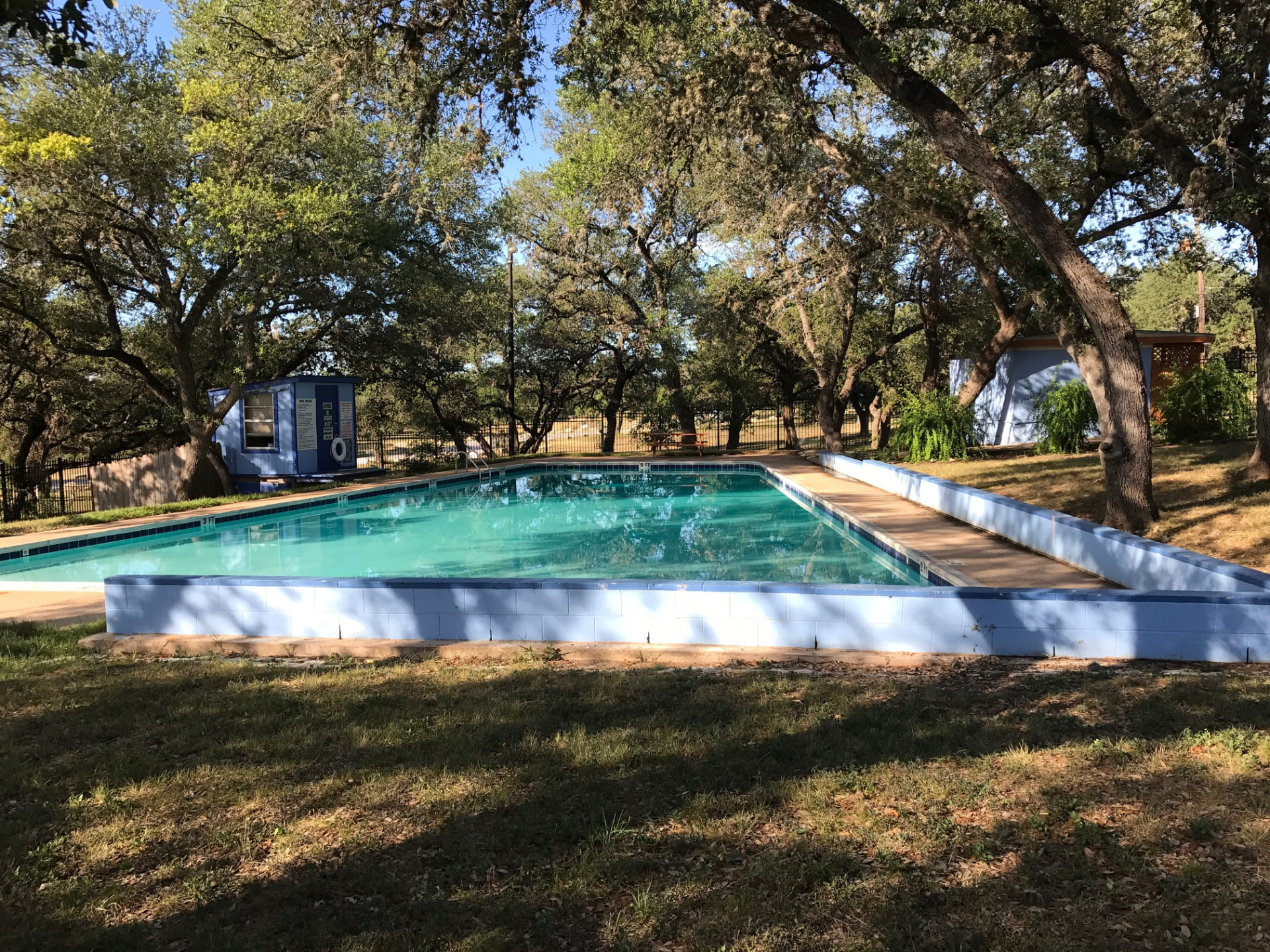 Apache Shores community pool shaded by live oak trees